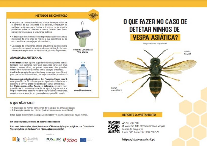 Combate &agrave; vespa velutina