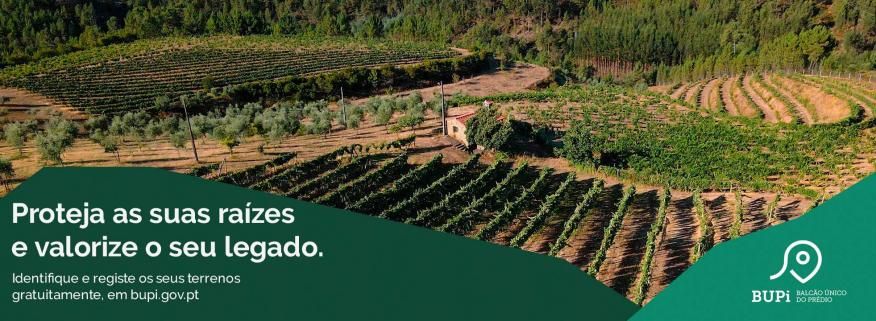 Balc&atilde;o BUPI em funcionamento na Junta de Freguesia