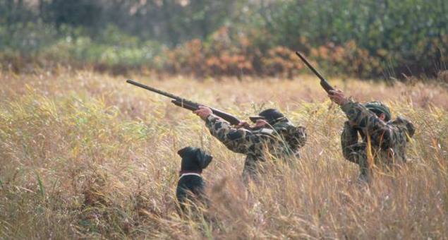 Inscri&ccedil;&otilde;es para a ca&ccedil;a na Zona Municipal de Fafe. &Eacute;poca venat&oacute;ria 2023/ 2024