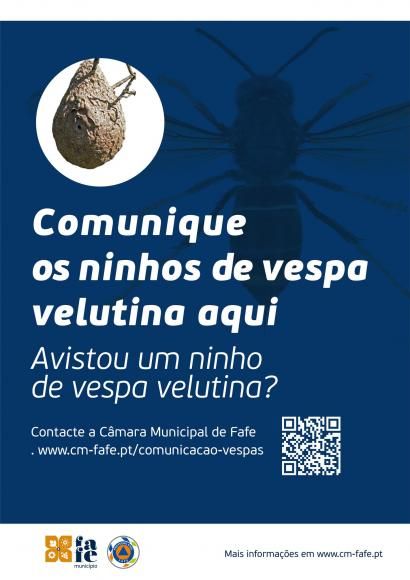 Ninhos de vespas asi&aacute;ticas