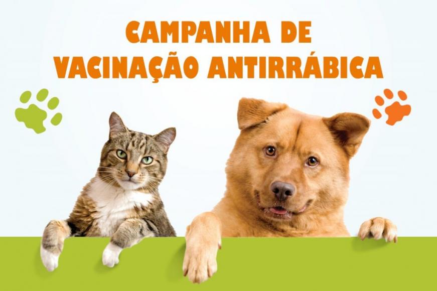 Campanha de vacina&ccedil;&atilde;o antirr&aacute;bica